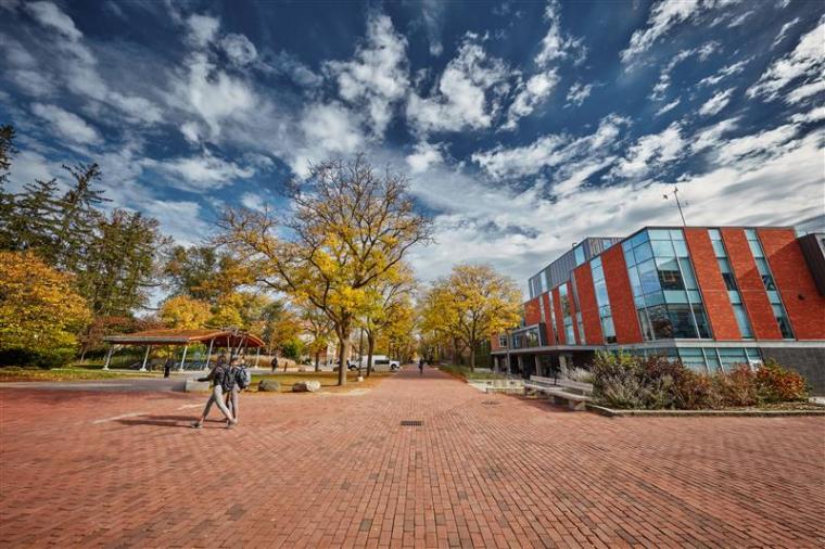 University of Guelph community members walking on campus